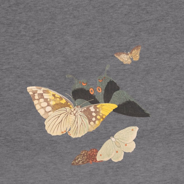 Moths and butterflies 19th century Japan by ArianJacobs